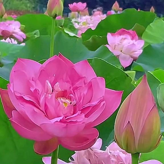 开心快乐每一天