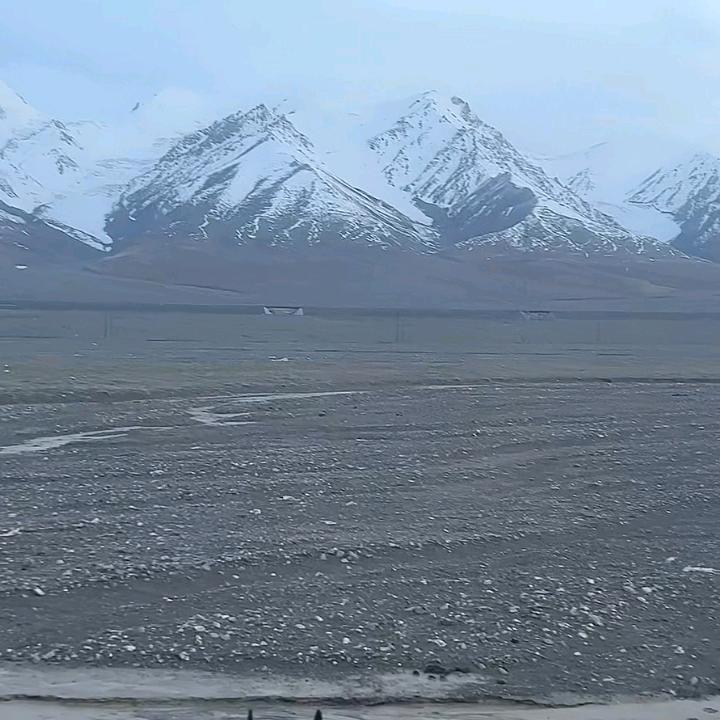 迷茫宝爸