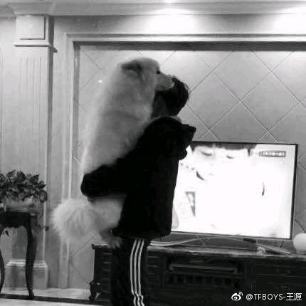 鸡蛋鸭蛋荷包蛋（见过王源六次版）