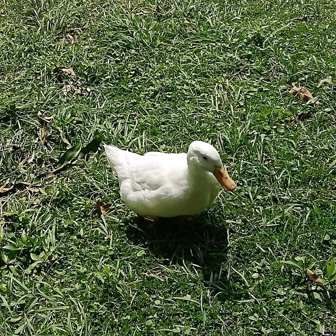 再睡六十六分钟.