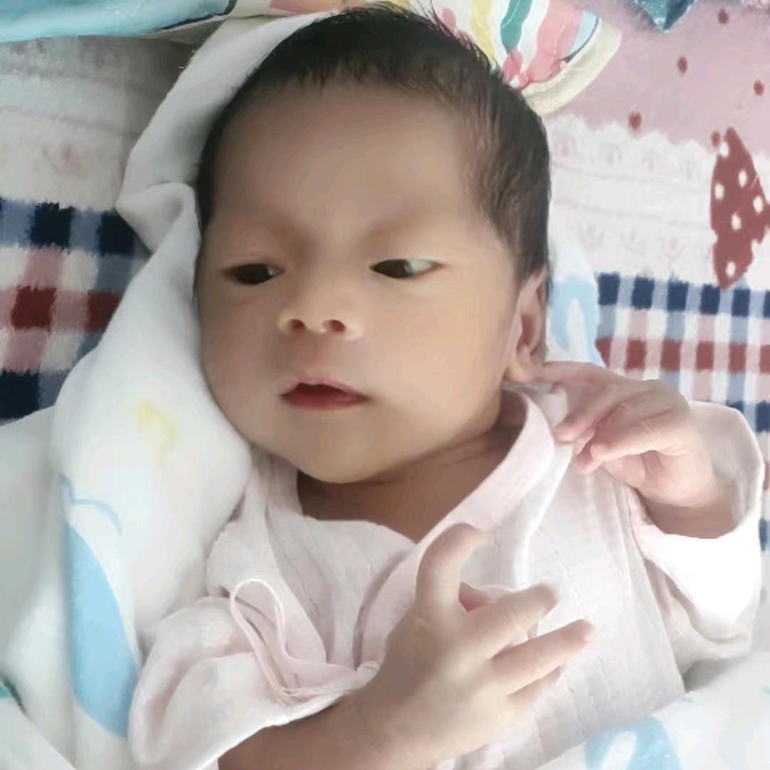屁话多，不要跟我屁话多。