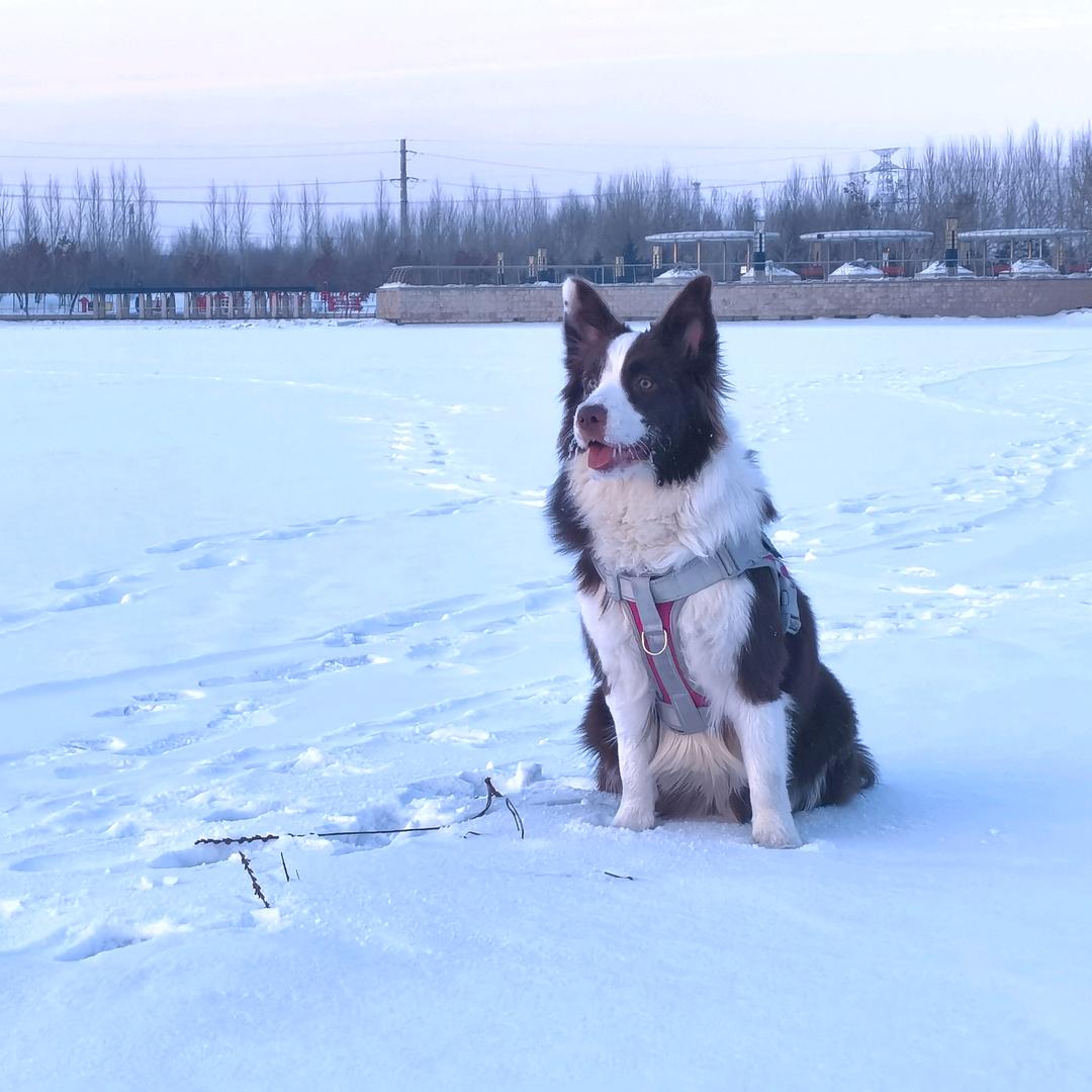 殷晓宇不想做好人