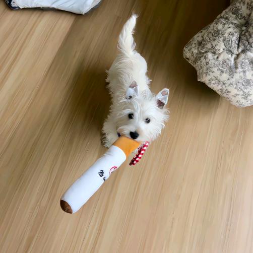 想要小鸡毛