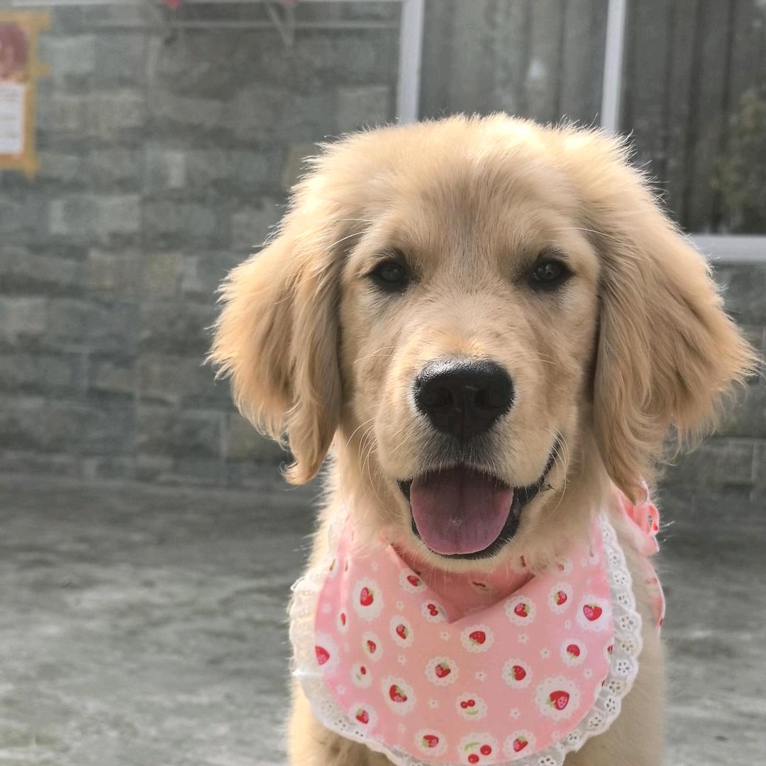 哈哈😊来财来财来财咯