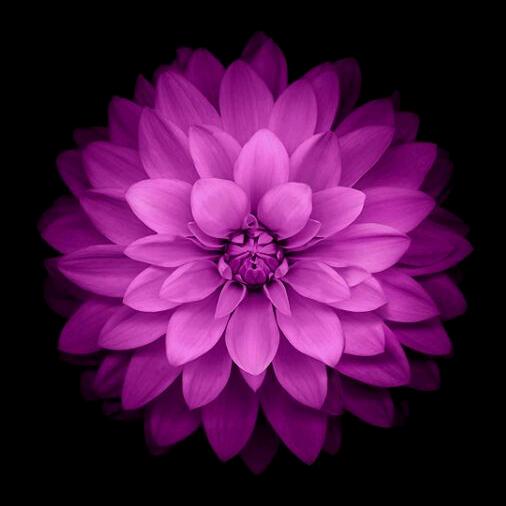 不甘平凡必须干