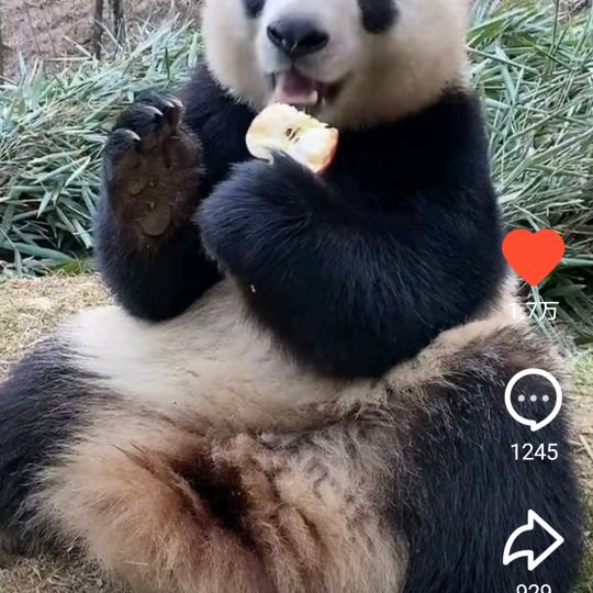 🌈好运来🌈