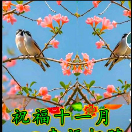 快乐一家
