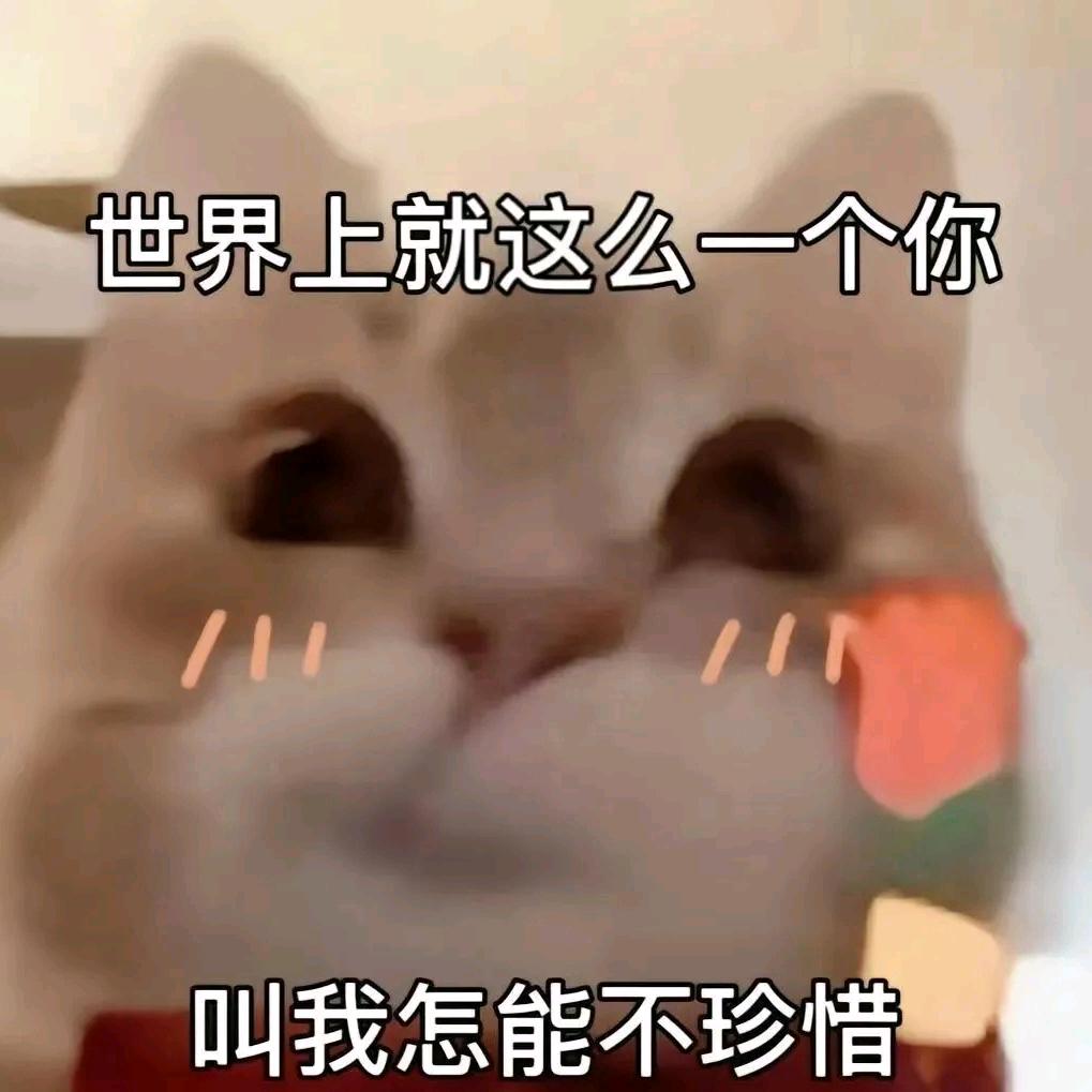 大学在校生