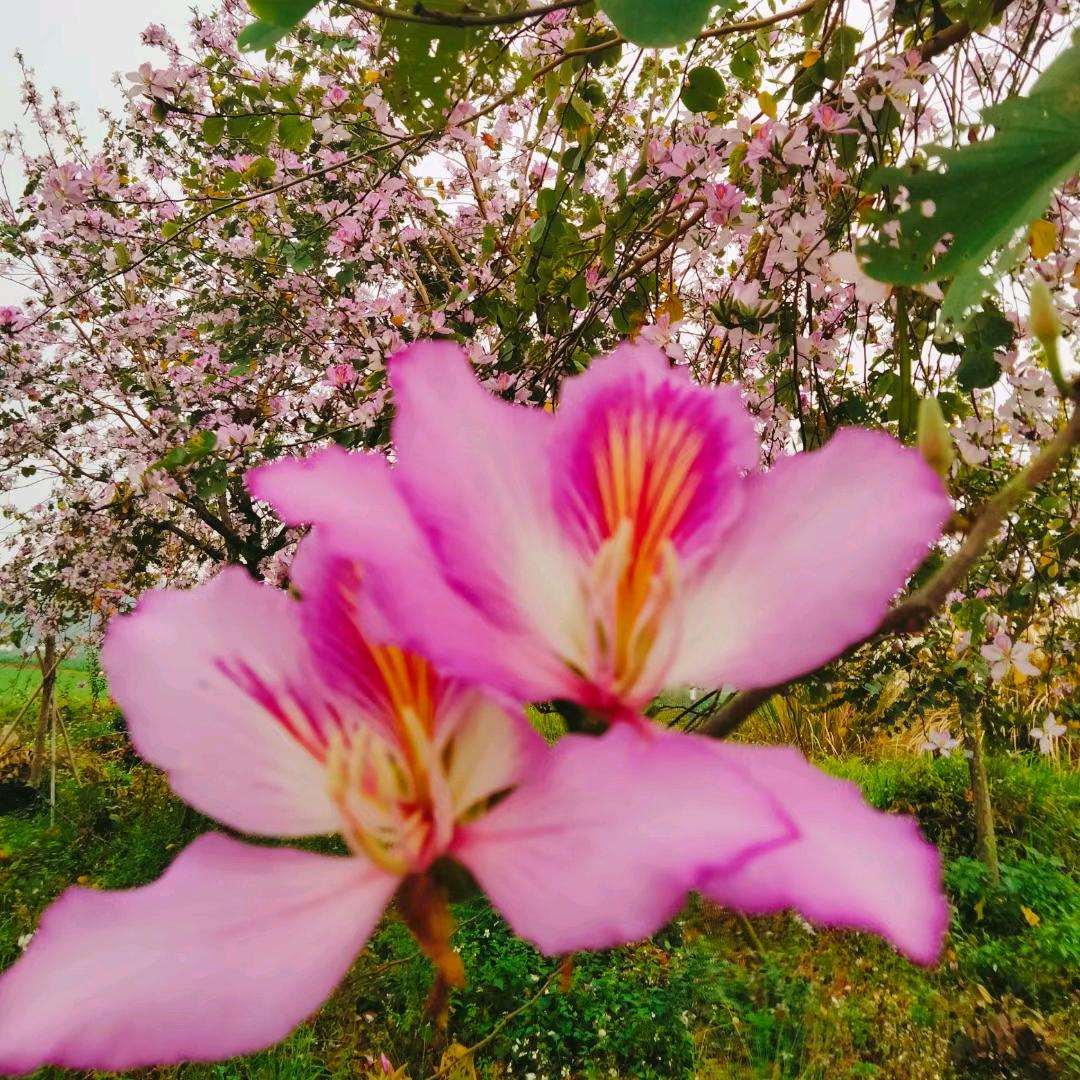 温柔时光