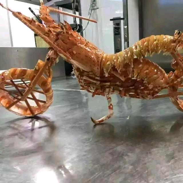 粤疆鲜（私厨上门）