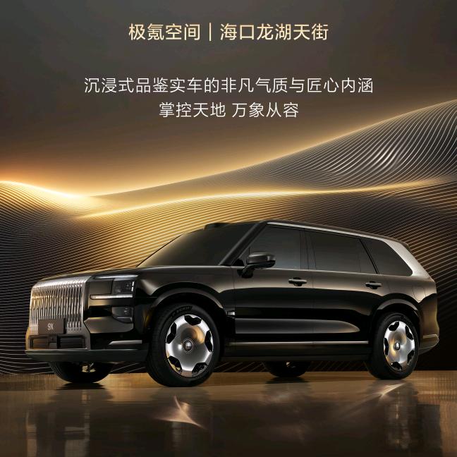 龙湖极氪大家庭