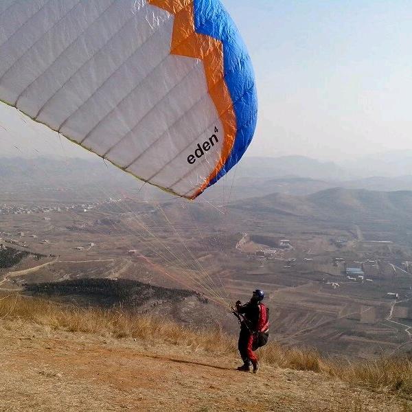 我家猫会后空翻🐱