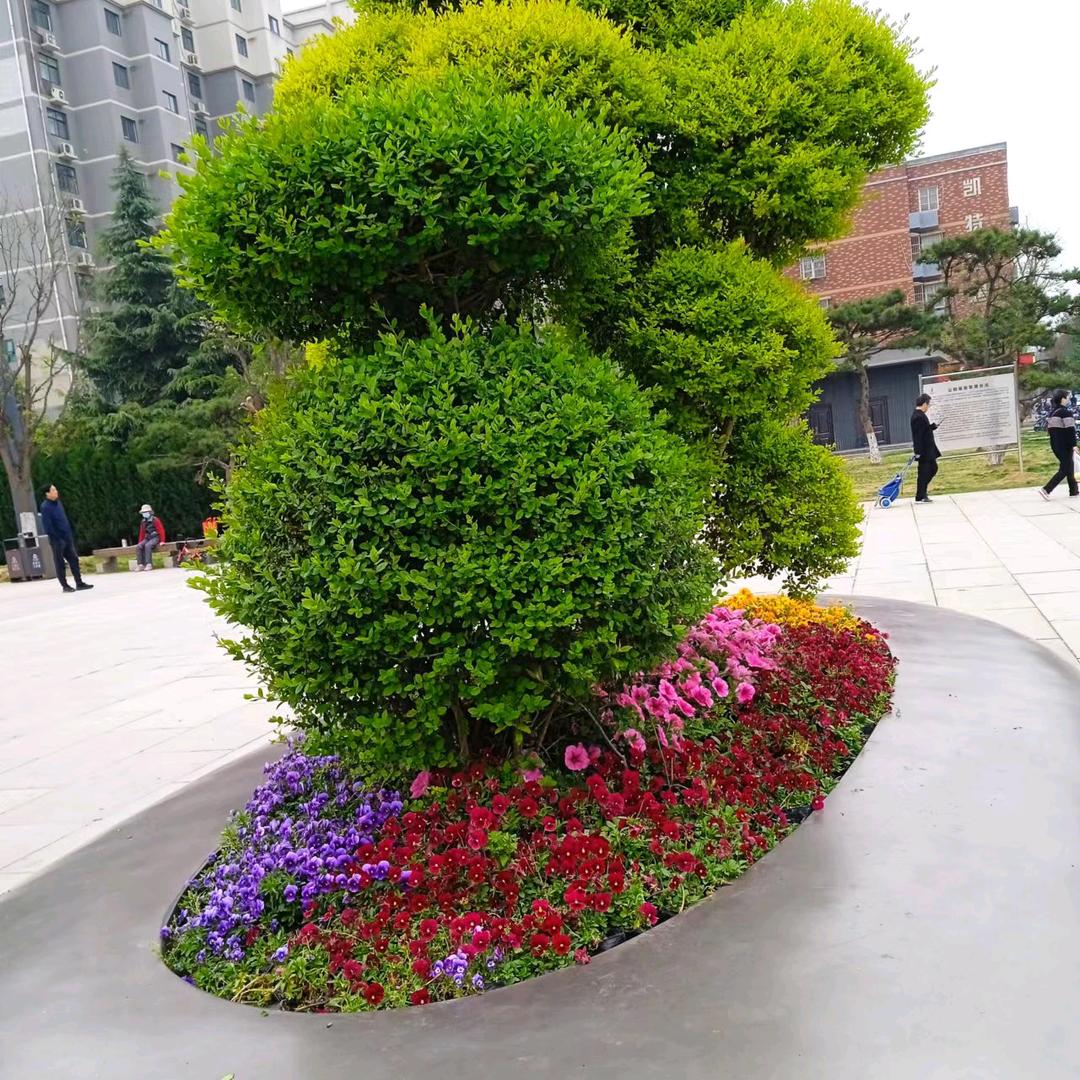 明月