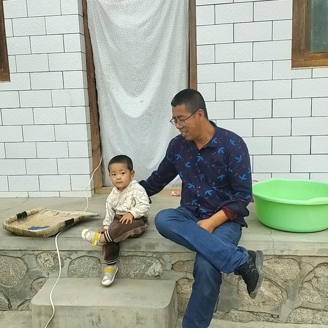 打不死的小强