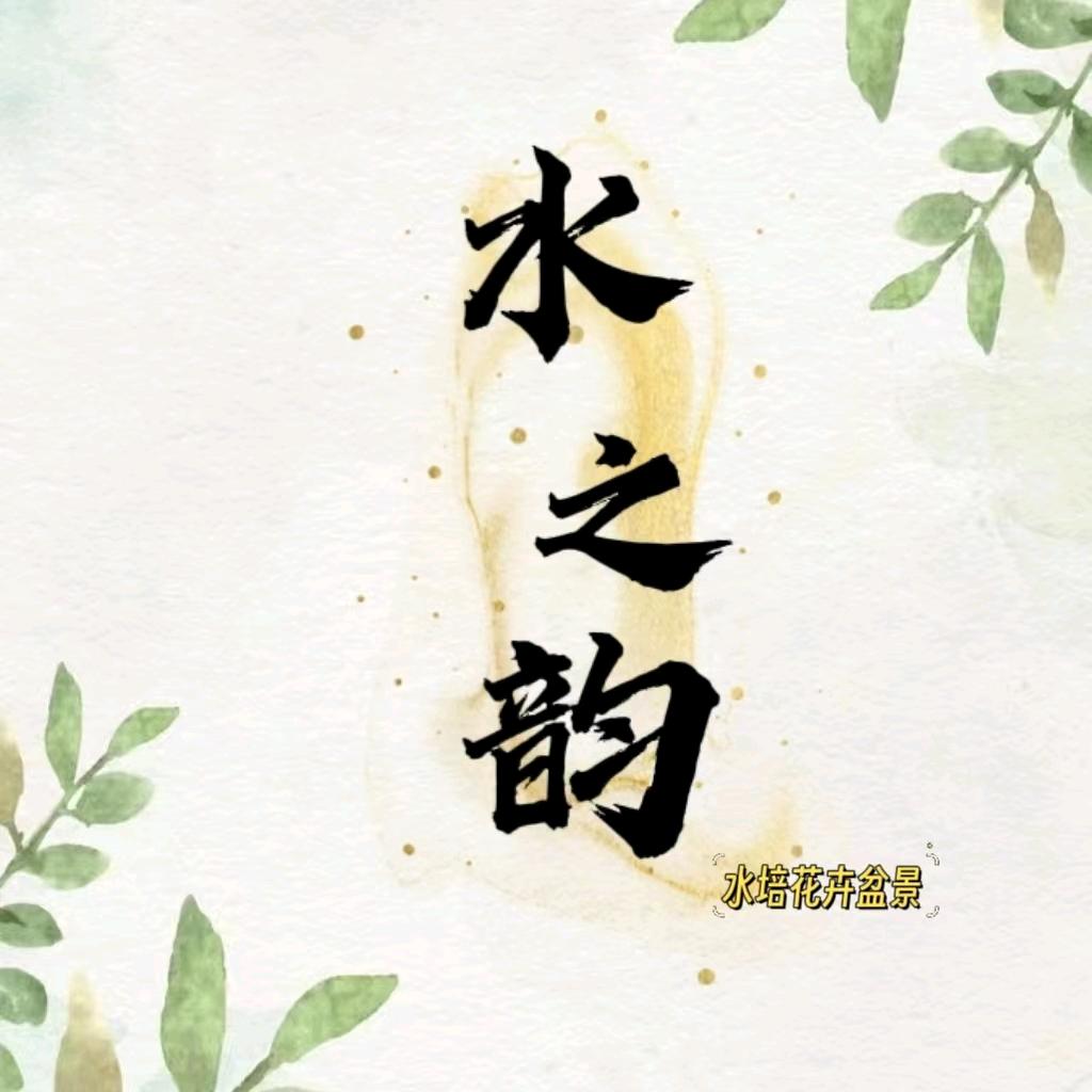 水之韵水培花卉盆景