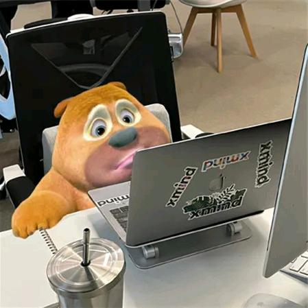 小孩姐