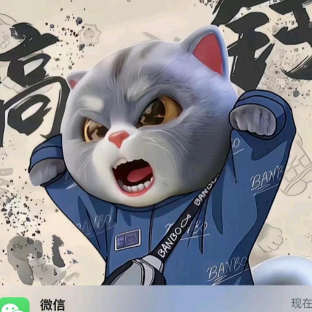 王者荣耀小眉(接代)