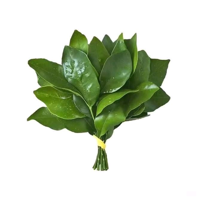 🌺让心归零，微笑向前🌺