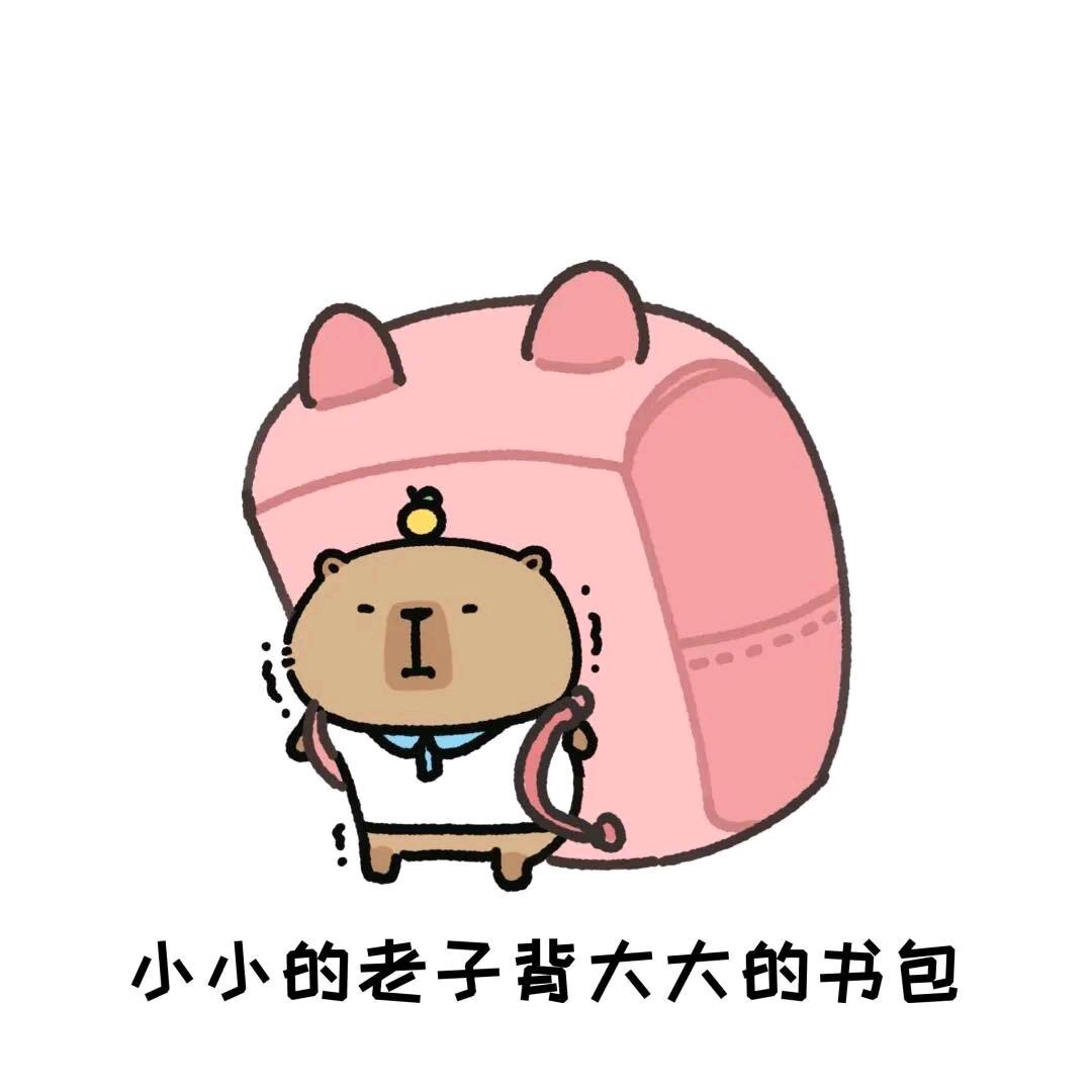 詹詹的bro