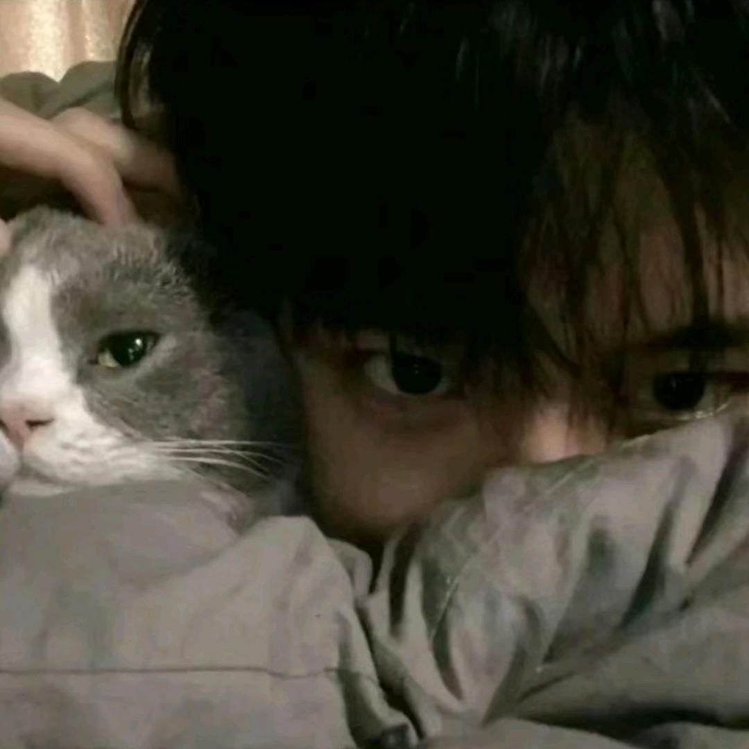 经常装鱿鱼被叼