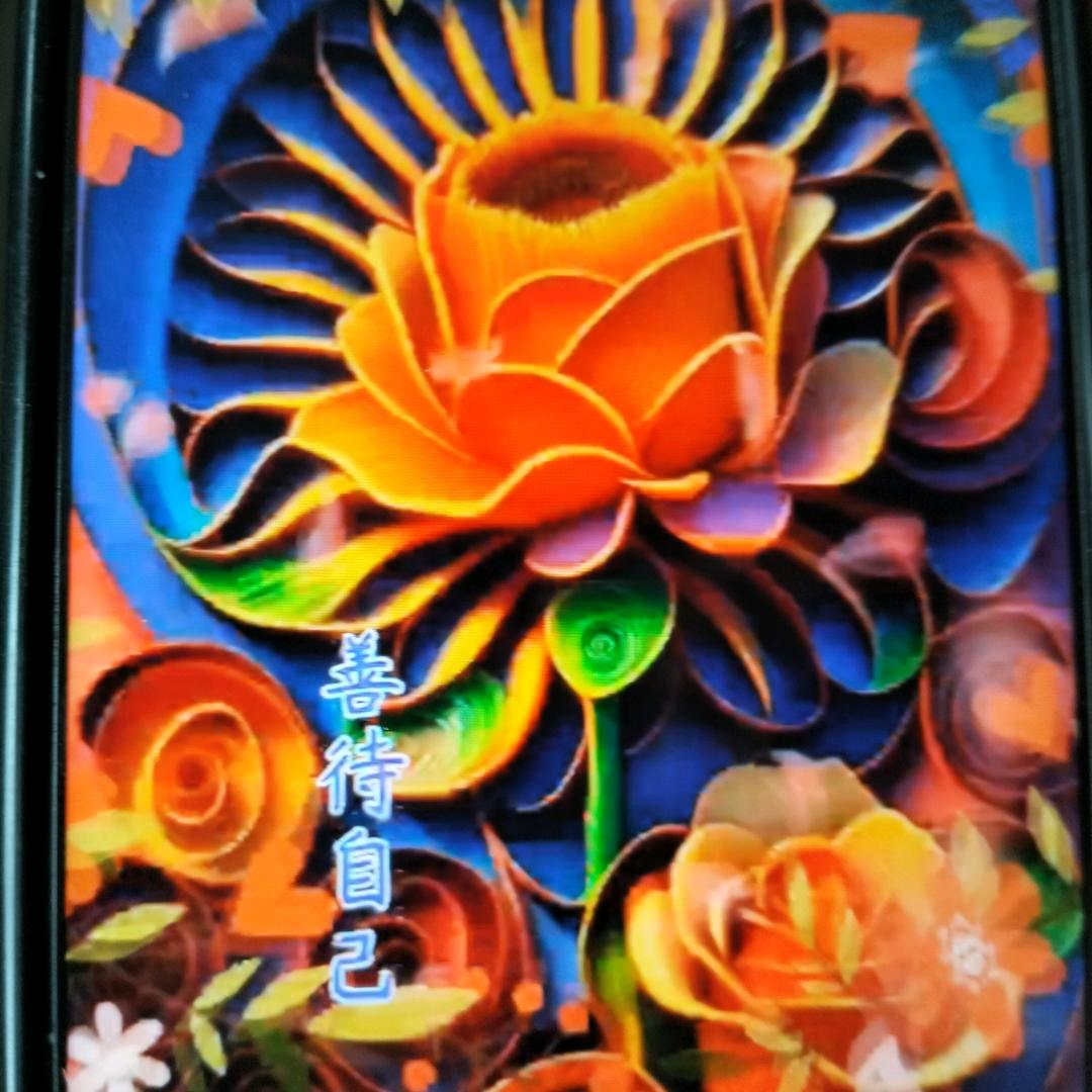 🌺珍🦆惜🐿缘💓份🌹🌺