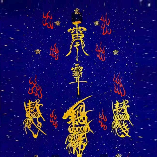 鲨鱼爸
