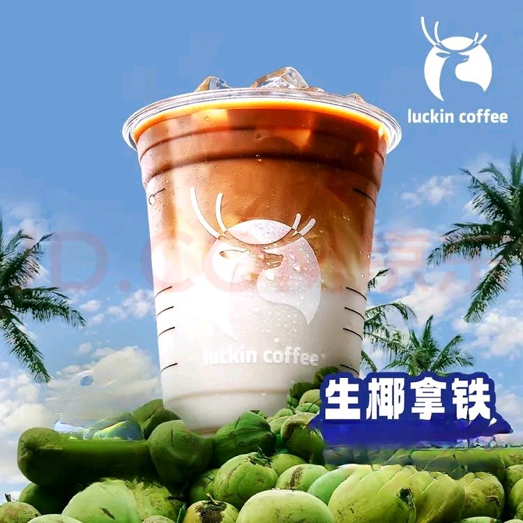 在有风的地方等你