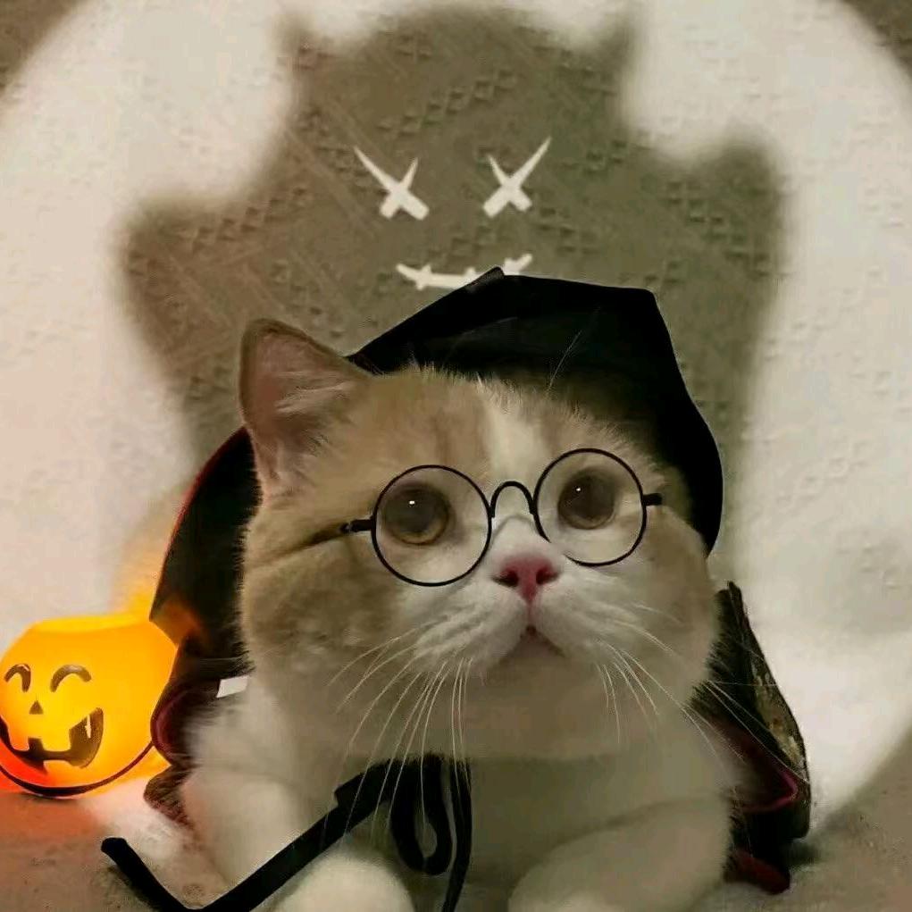 🐅¹⁹₈₆龍.玲℘࿐