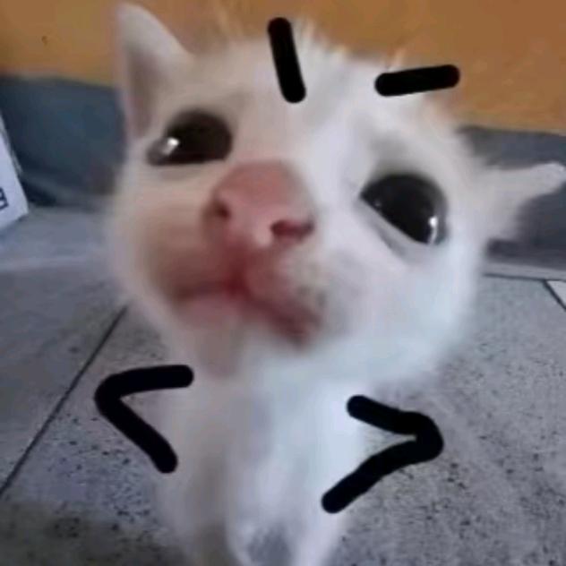 幼稚园高材生