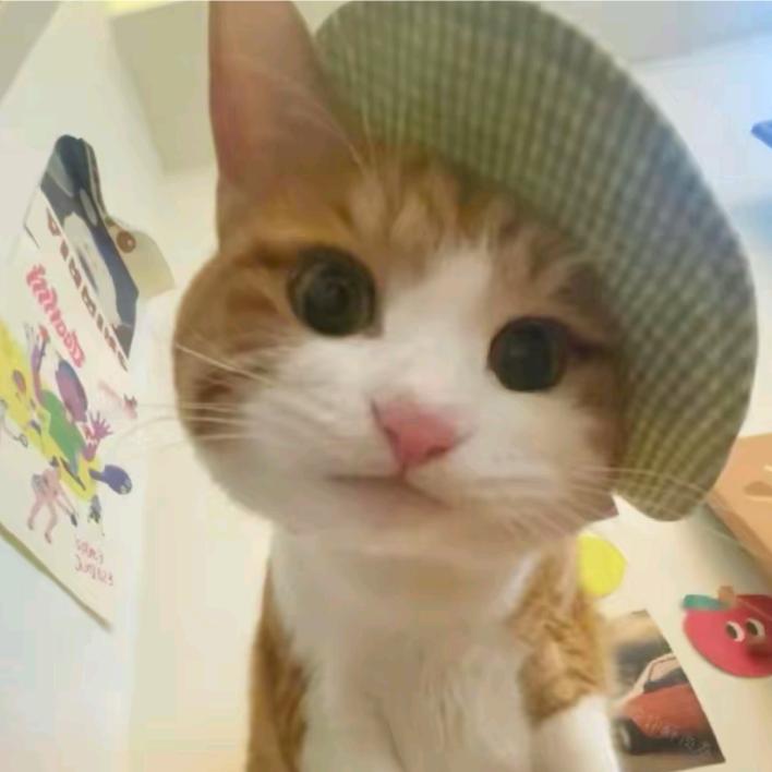 豆芽•᷄ࡇ•᷅ .