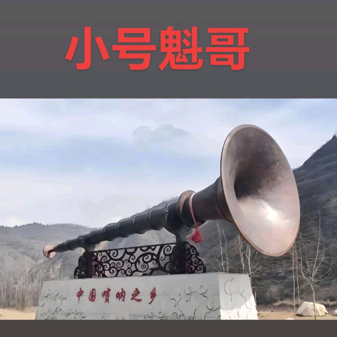 （小号魁哥）