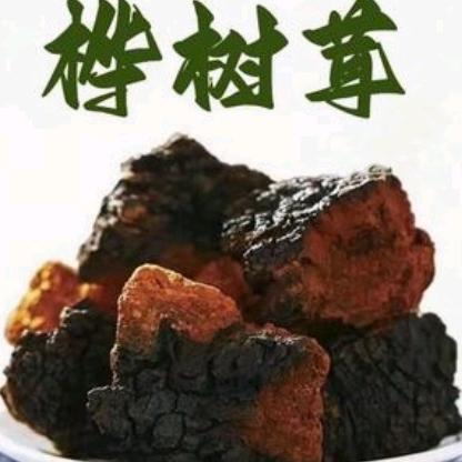 富随💪心意