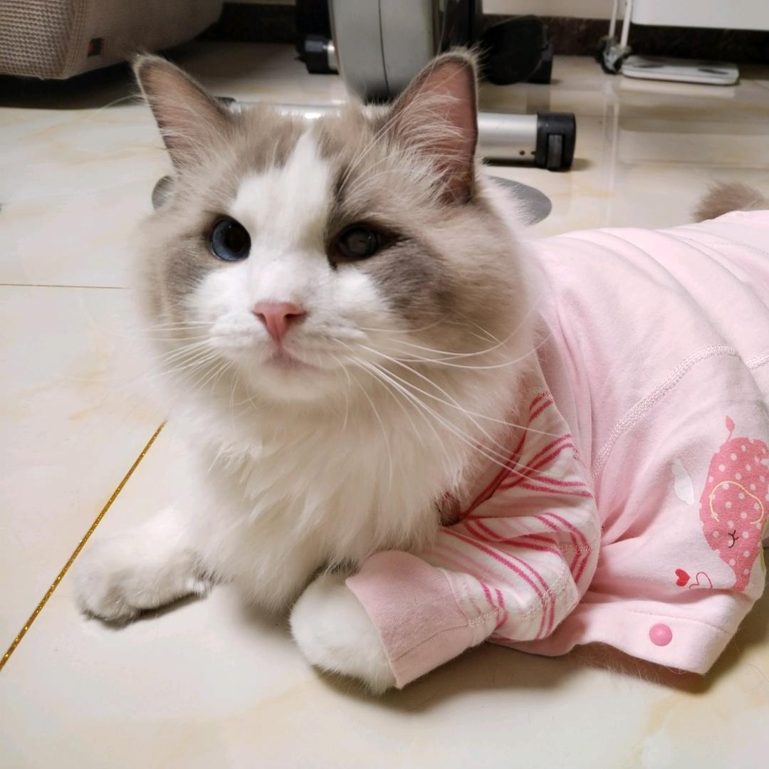 yaoyaoyao