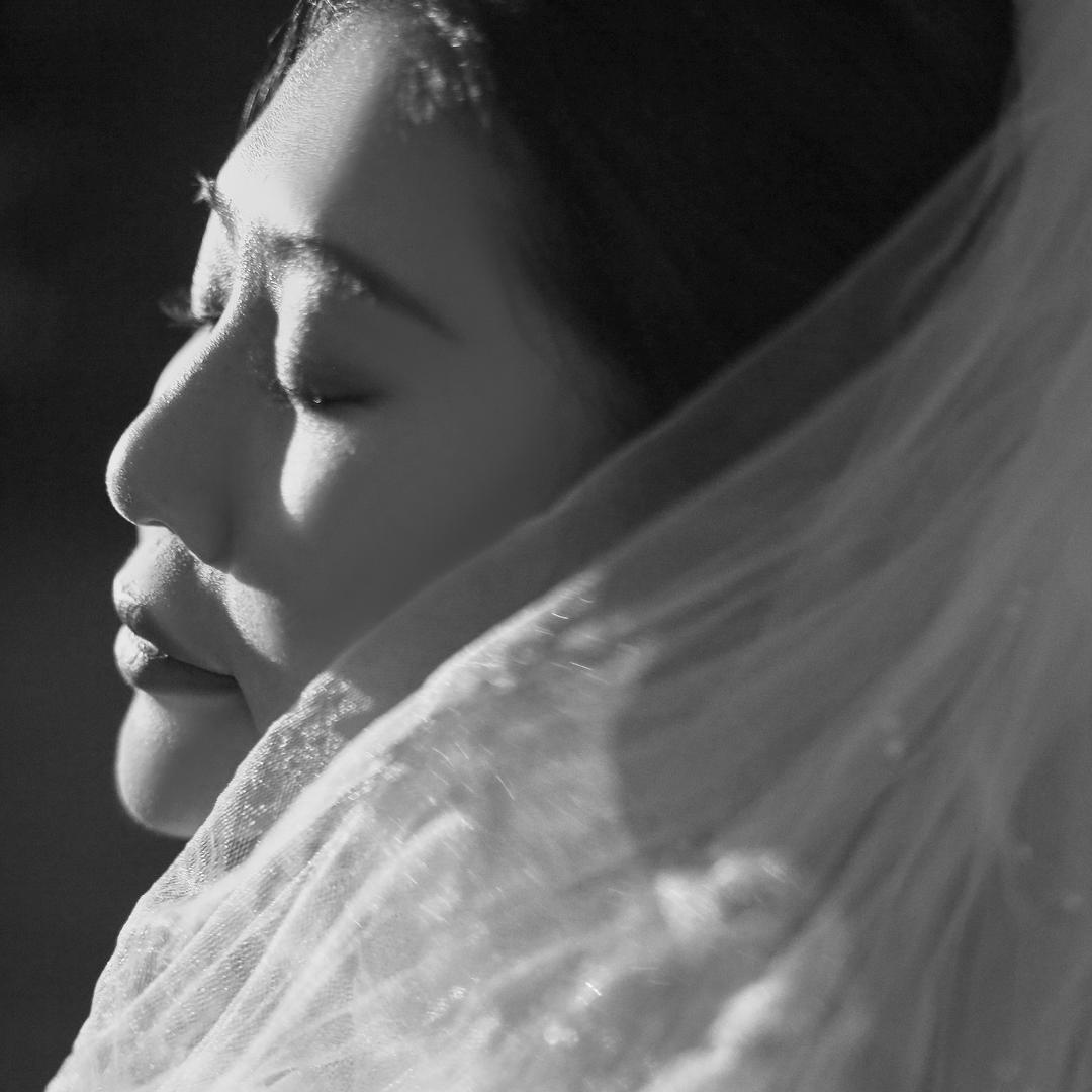 一大只饼干（故事集）