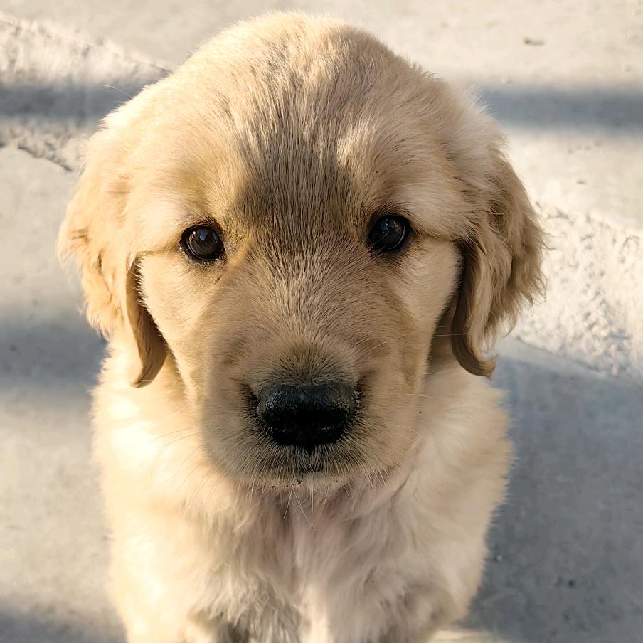 《老二喝不多》