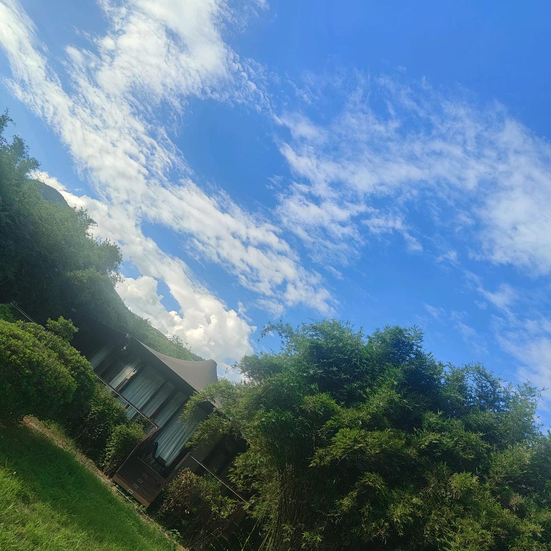 北狼哥