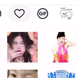 朱猪