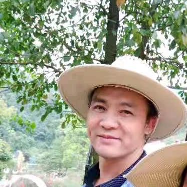 黑蚂蚁神蜉鸡汤康养