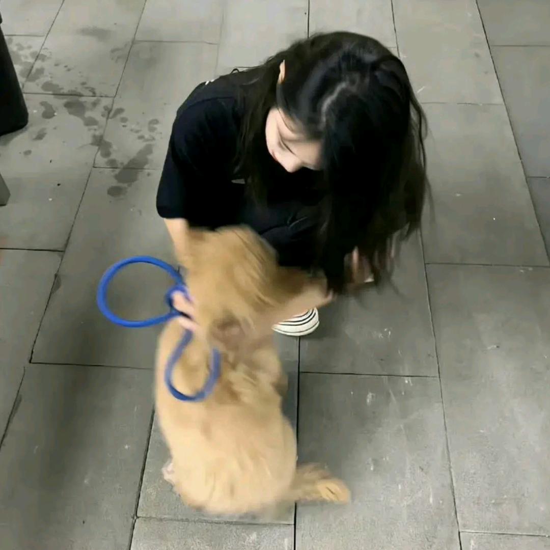 没u烦恼、