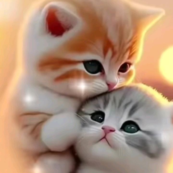 情歌💖💞💖浪子