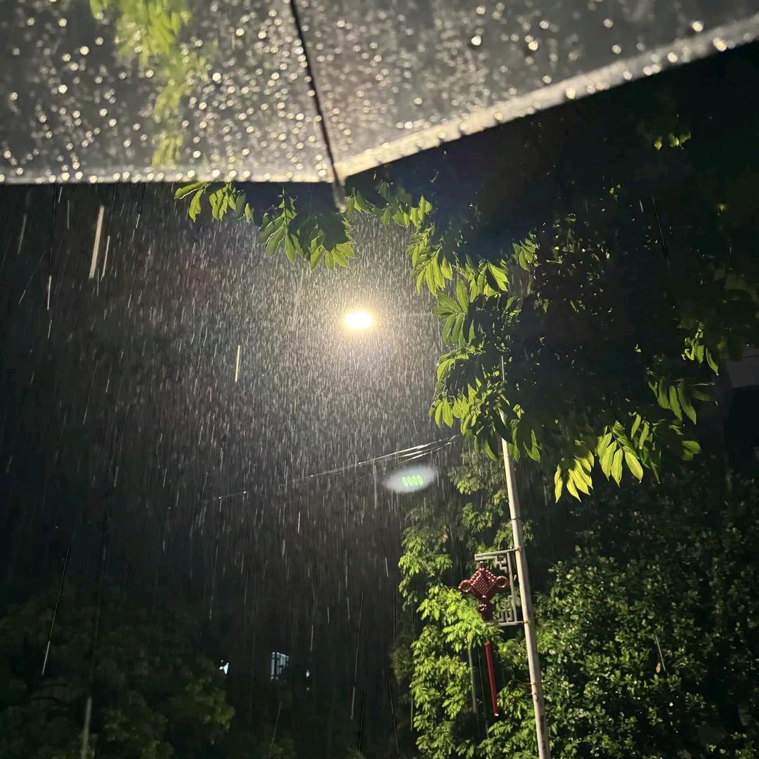 ~撑伞的那个人~