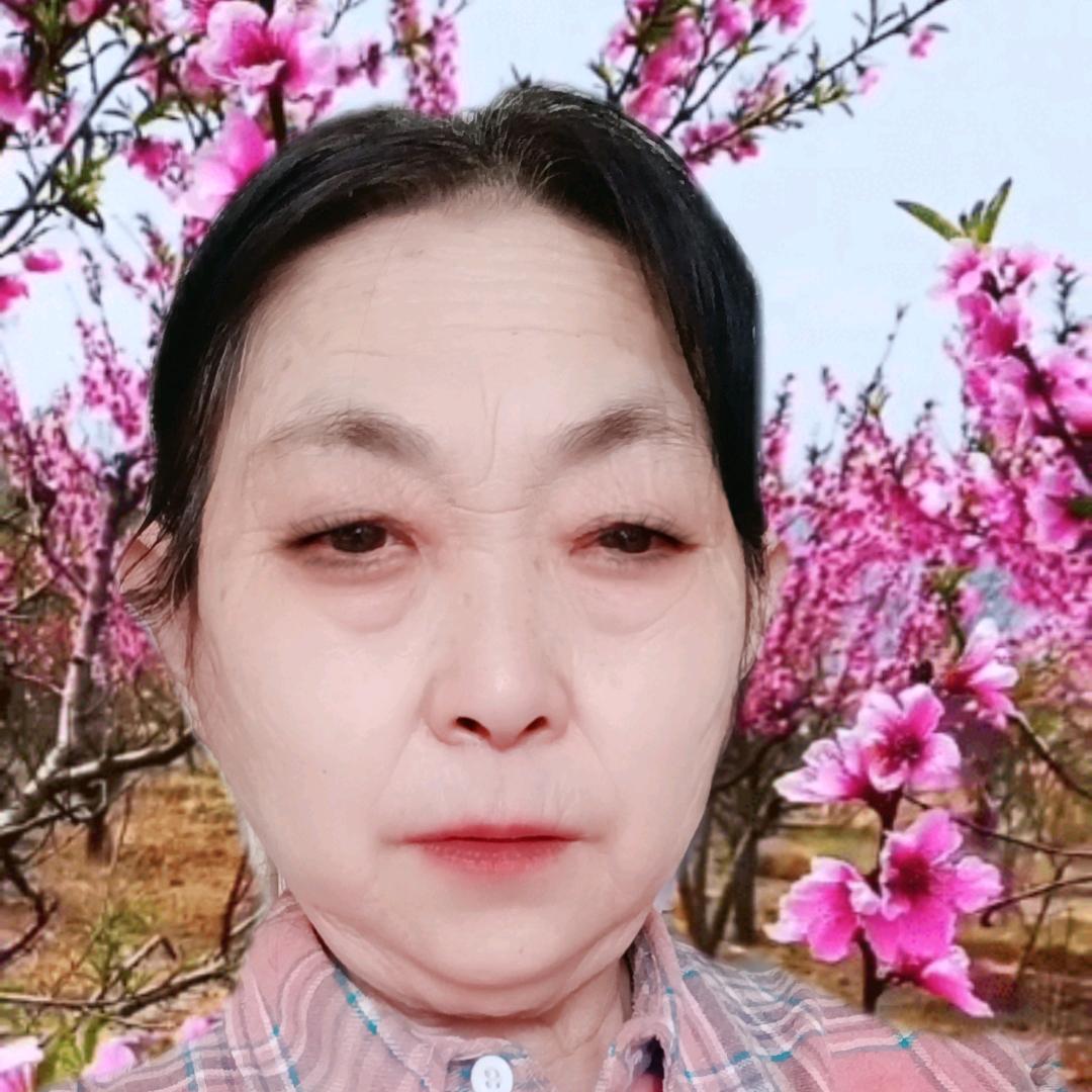 胡玉兰装修