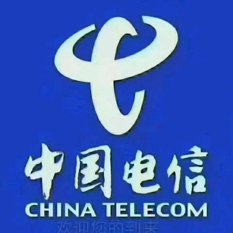 中国电信(道北前进路店)专用号