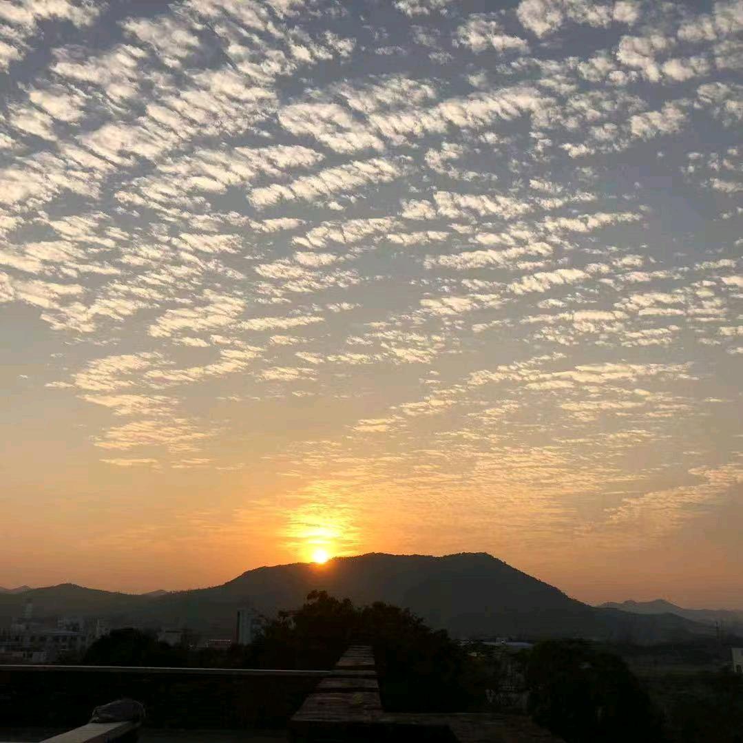 春天