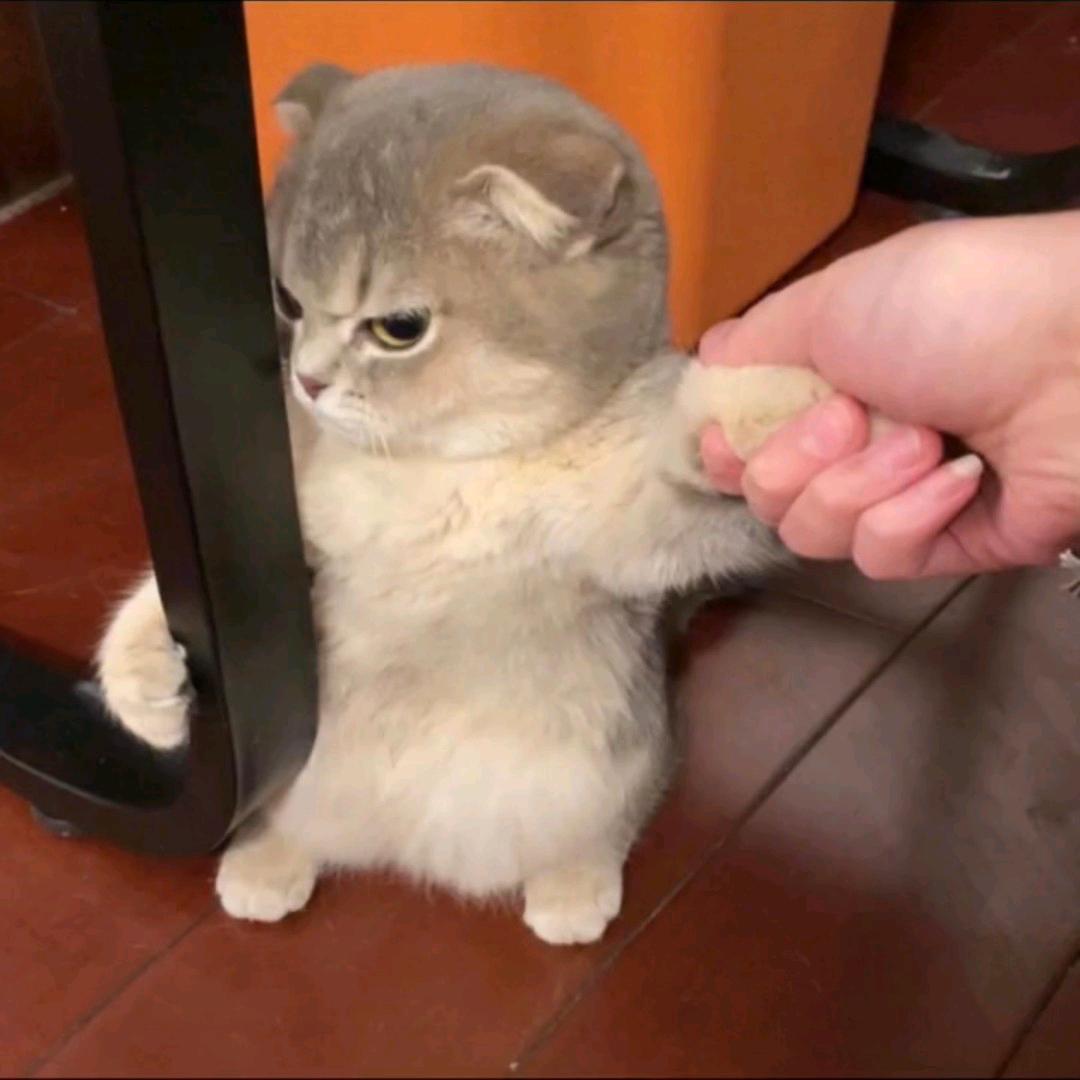 ᭄ℳ๓ 一介俗人°ꦿ⁵