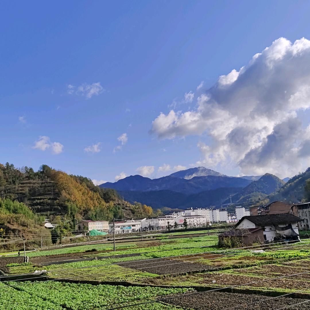 农野山货本草