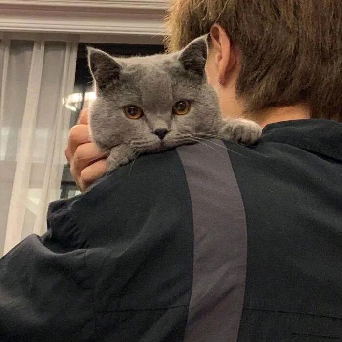 财气东来顺心如意