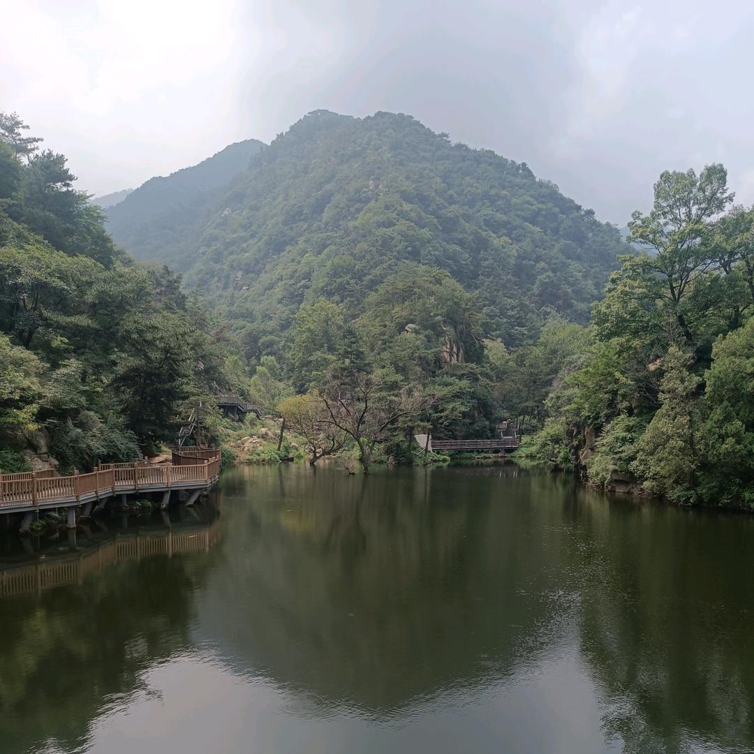 中央空调杨群