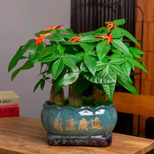 红姐百货优选好物