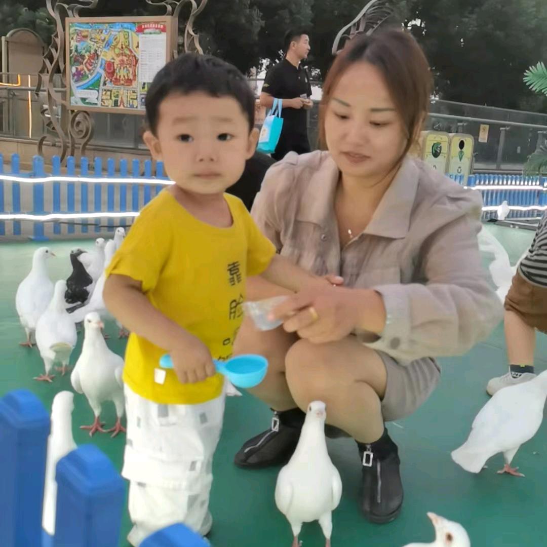 冯怀宝